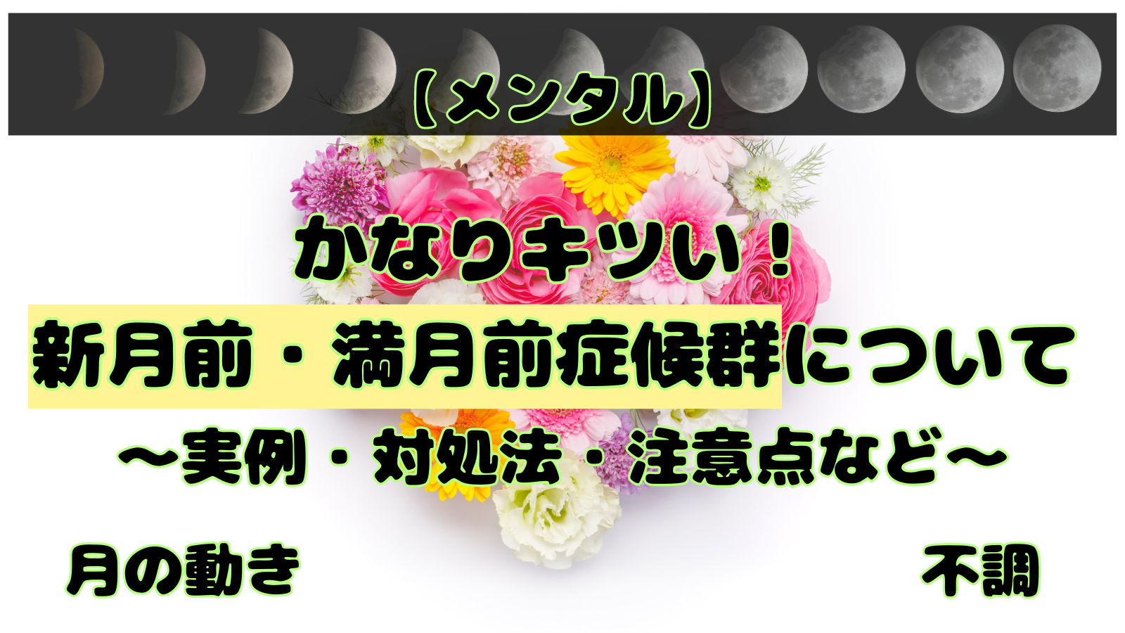 活動歴および当時の関連ビジュアル記録